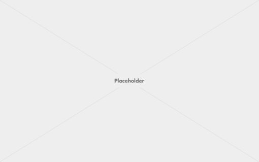 Sons of Liberty Playing Cards